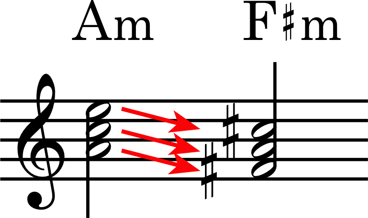 Am-Fism parallel